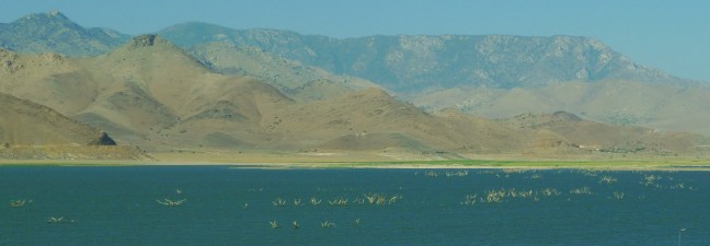 Lake Isabella covers the old town of Whiskey Flats (greatest town name ever?), which was flooded after the dam was built on the Kern River. They evacuated everyone of course, but left all the trees standing as they were -- with the reservoir now so low, the trees are seeing their first bit of sunshine in 60 years!
